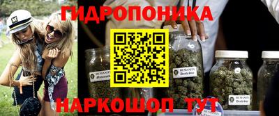 шишки Рязань